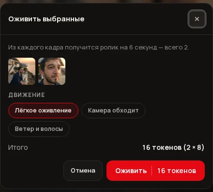 The “Animate selected” window: chosen frames, three motions, the total and the start button.